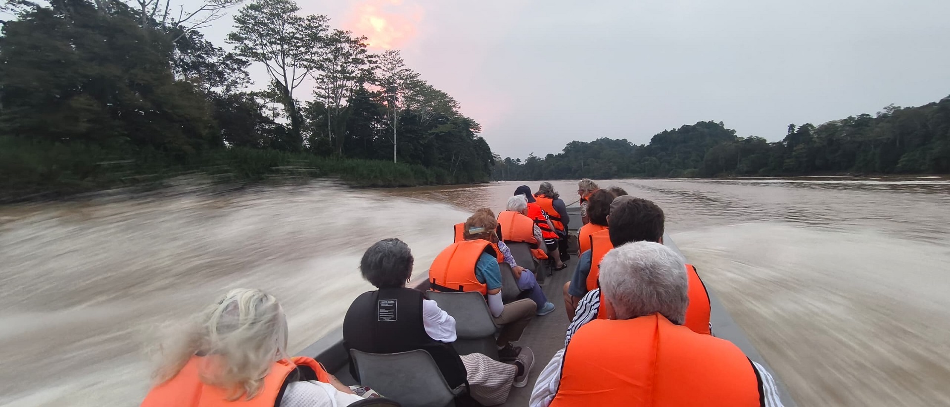 Borneo: A Journey of Wildlife, History and Discovery